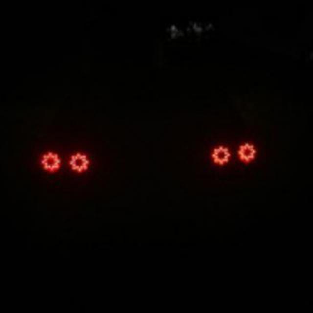 Avatar RannteR